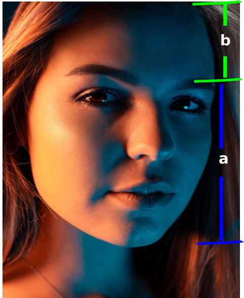 Golden Ratio and Fibonacci Numbers