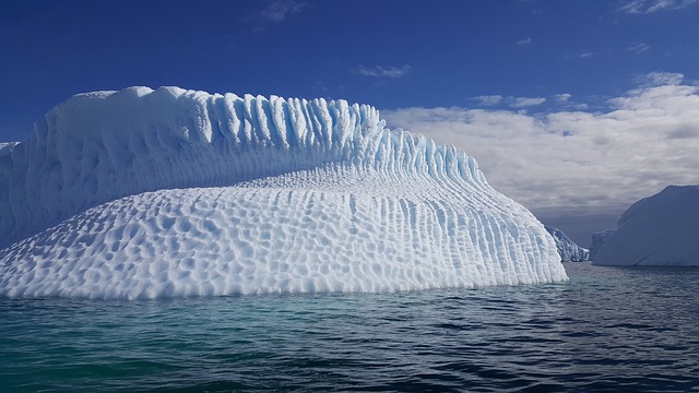 Antarctic